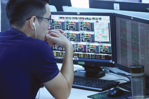 Các cổ phiếu họ Louis thu hút sự chú ý lớn của thị trường thời gian qua.