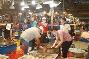 Mặt hàng thủy hải sản được buôn bán tại Chợ đầu mối Bình Điền. (Ảnh minh họa: Đinh Hằng/TTXVN).