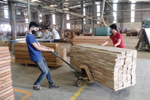 Các doanh nghiệp chế biến gỗ đang tích cực khôi phục sản xuất.