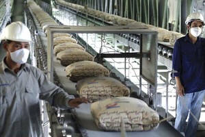 Chi phí kéo ghì lợi nhuận ngành xi măng