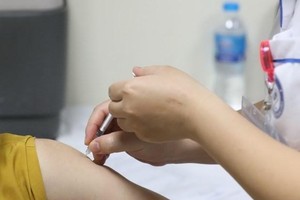 (Ảnh minh họa: Minh Quyết/TTXVN).