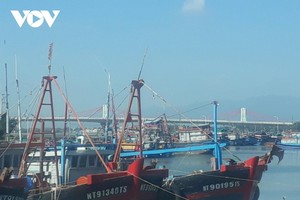 Cảng cá Đông Hải hoạt động trở lại với 50% công suất (Ảnh: Sĩ Minh).