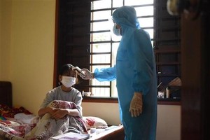 (Ảnh minh họa: Diệp Trương/TTXVN).