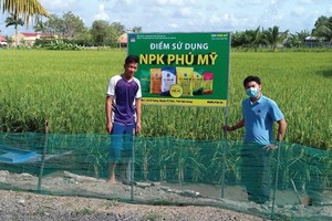 PVFCCo cùng phát triển với nông nghiệp bền vững