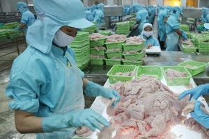 Doanh nghiệp thủy sản đang tăng tốc để tận dụng cơ hội thị trường cuối năm.