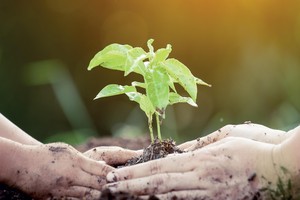 “Thiên thời, địa lợi” cho bảo hiểm liên kết đầu tư