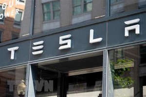 Biểu tượng Tesla. (Ảnh: AFP/TTXVN).