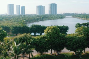 Mặt bằng giá đất nền tăng, các doanh nghiệp bất động sản có quỹ đất lớn hưởng lợi.