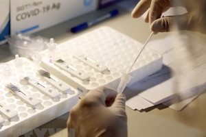 (Ảnh minh họa: TTXVN/Vietnam+).