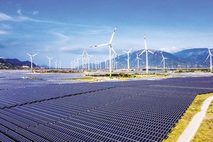 Một nhà máy điện gió tại tỉnh Ninh Thuận. Ảnh: Đức Thanh.