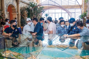 Các doanh nghiệp bắt đầu ghi nhận doanh thu từ dự án và có dự án gối đầu được nhiều nhà đầu tư quan tâm.