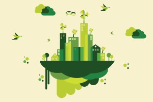 Cuộc đua tới Net Zero