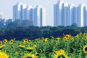 Một “bình minh” mới cho thị trường khởi đầu từ quý IV/2021.