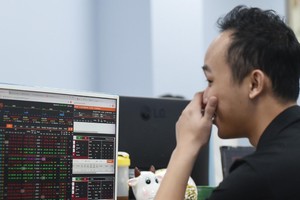 Trên thị trường tồn tại nhiều luồng ý kiến trái ngược xung quanh câu chuyện của HAG.