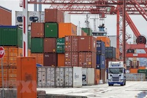 Hoạt động bốc dỡ container hàng hóa tại cảng ở Dublin, Ireland. (Ảnh: AFP/TTXVN).