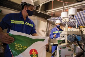 Ngay khi có dấu hiệu xung đột leo cao, giá cổ phiếu DCM đã tăng từ 30.000 đồng/cổ phần lên gần 40.000 đồng/cổ phần.