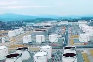 Nhà máy lọc dầu Nghi Sơn gặp khó khăn về tài chính và một số vấn đề nội tại nên không có kinh phí nhập dầu thô để sản xuất xăng dầu thành phẩm.