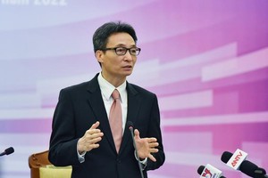 Phó Thủ tướng Vũ Đức Đam phát biểu tại Hội nghị (Ảnh: VGP).