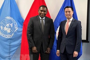 Đại sứ Đặng Hoàng Giang và Trợ lý Tổng thư ký Liên hợp quốc Selwin Chalres Hart. (Ảnh: Khắc Hiếu/TTXVN).