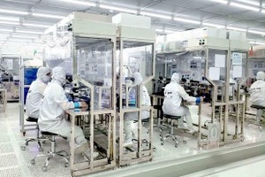 Ảnh minh họa. (Nguồn: TTXVN).