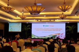 ĐHĐCĐ Hoàng Anh Gia Lai (HAG): Chào bán gần 162 triệu cổ phiếu riêng lẻ, giá 10.500 đồng/cổ phần