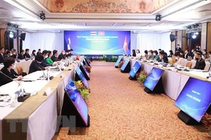 Quang cảnh kỳ họp. (Ảnh: Hữu Kiên/TTXVN).