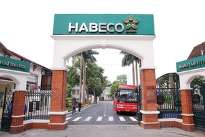 Thương hiệu bia có tuổi đời hơn 100 năm đang có nhiều đổi mới về sản phẩm, kênh bán hàng.