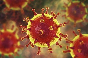 Virus corona có nhiều loại, có những loại cực kỳ nguy hiểm như SARS-CoV-2, cũng có những corona gây cảm lạnh thông thường. (Ảnh minh họa: Internet)
