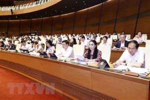 Đoàn đại biểu Quốc hội tỉnh Vĩnh Phúc dự phiên họp. (Ảnh: Doãn Tấn/TTXVN)