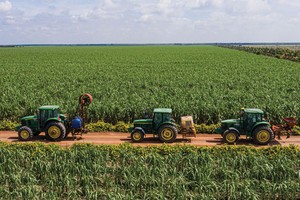Ngành mía đường tiếp tục có triển vọng sáng, tập trung vào những doanh nghiệp tự chủ được vùng nguyên liệu.