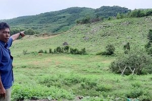 Xã Mỹ Đức, huyện Phù Mỹ - nơi xảy ra nhiều vụ việc sai phạm về đất đai trong thời gian qua.(Nguồn: NLD)