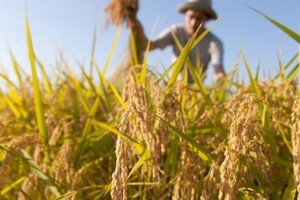 Ảnh minh họa. (Nguồn: globaltrademag.com).