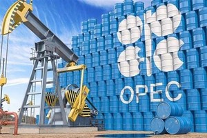 Hình ảnh 3D minh hoạ biểu tượng Tổ chức Các nước xuất khẩu dầu mỏ (OPEC). (Ảnh: Shutterstock.com/TTXVN)