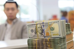 Việt Nam có nhiều nguồn cung USD, sẽ giúp kiềm chế đà tăng của tỷ giá.