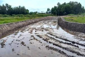 Một góc đường đua bò đã nạo vét lớp đất mặt. (Ảnh: TTXVN phát).