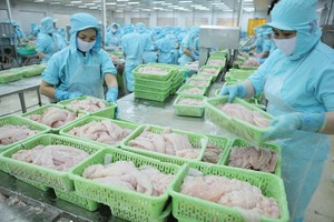 Cá tra Việt Nam có thị trường nhập khẩu chính là Trung Quốc, Mỹ và khối các nước trong Hiệp định CPTPP.