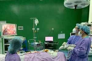 Nghỉ hưu ở tuổi cao hơn đối với viên chức không quá 5 năm (60 tháng). (Ảnh minh họa: TTXVN phát)