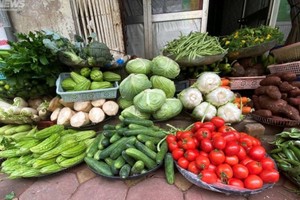 Theo khảo sát, nhìn chung các mặt hàng rau củ, quả đã bắt đầu giảm giá.