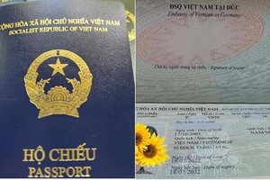 Mẫu hộ chiếu mới màu xanh tím than. (Nguồn: TTXVN)