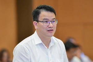 Thứ trưởng Bộ trưởng Bộ Kế hoạch và Đầu tư Trần Quốc Phương báo cáo tại phiên họp.