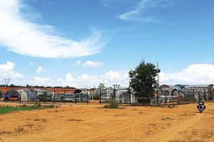 Dự án Nhà máy Bột giấy và giấy Tân Mai - Kon Tum. Ảnh: T.T