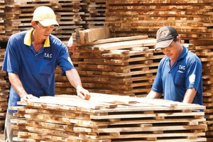 Xuất khẩu các sản phẩm từ gỗ đang giảm tốc.