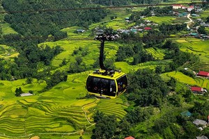 Khung cảnh mùa lúa chín ngoạn mục ở thung lũng Mường Hoa.