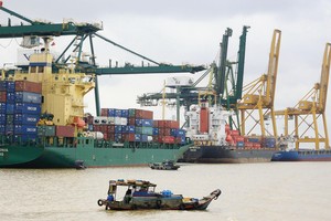 Phần lớn đội tàu trong nước được cho thuê tại thị trường ngoài.