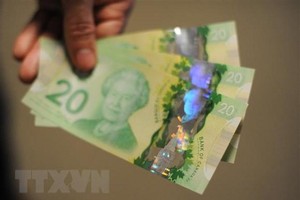 Đồng đôla Canada. (Ảnh: AFP/TTXVN)
