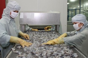 Việt Nam và EU đang thực thi hiệu quả Hiệp định EVFTA.