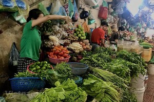 Giá rau xanh giảm khiến không chỉ người tiêu dùng mà tiểu thương tại các chợ cũng phấn khởi. (Ảnh: Việt Anh/Vietnam+)