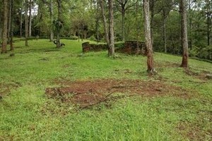 Lâm Đồng: Hàng trăm dự án thực hiện trên đất lâm nghiệp bị thu hồi