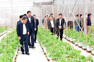 Sắc diện nông thôn mới Nghệ An tiếp tục tạo sự chuyển biến mới mẻ.