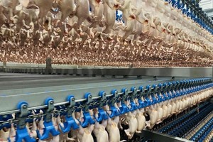 Xuất khẩu hàng hóa sang Nhật 9 tháng đạt 17,8 tỷ USD, tăng 21,6%, xuất siêu 10 triệu USD.